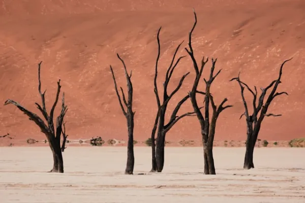 All Inclusive Ferien in Namibia